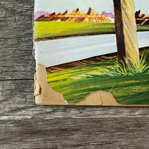 FREE ICE WATER: THE STORY OF WALL DRUG by DANNA C. JENNINGS - VINTAGE RARE 1969 - Picture 7 of 12